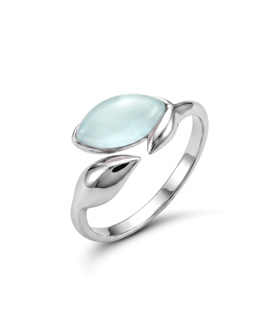 Hõbesõrmus agaadiga