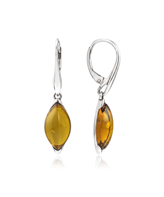 Hõbekõrvarõngad merevaiguga