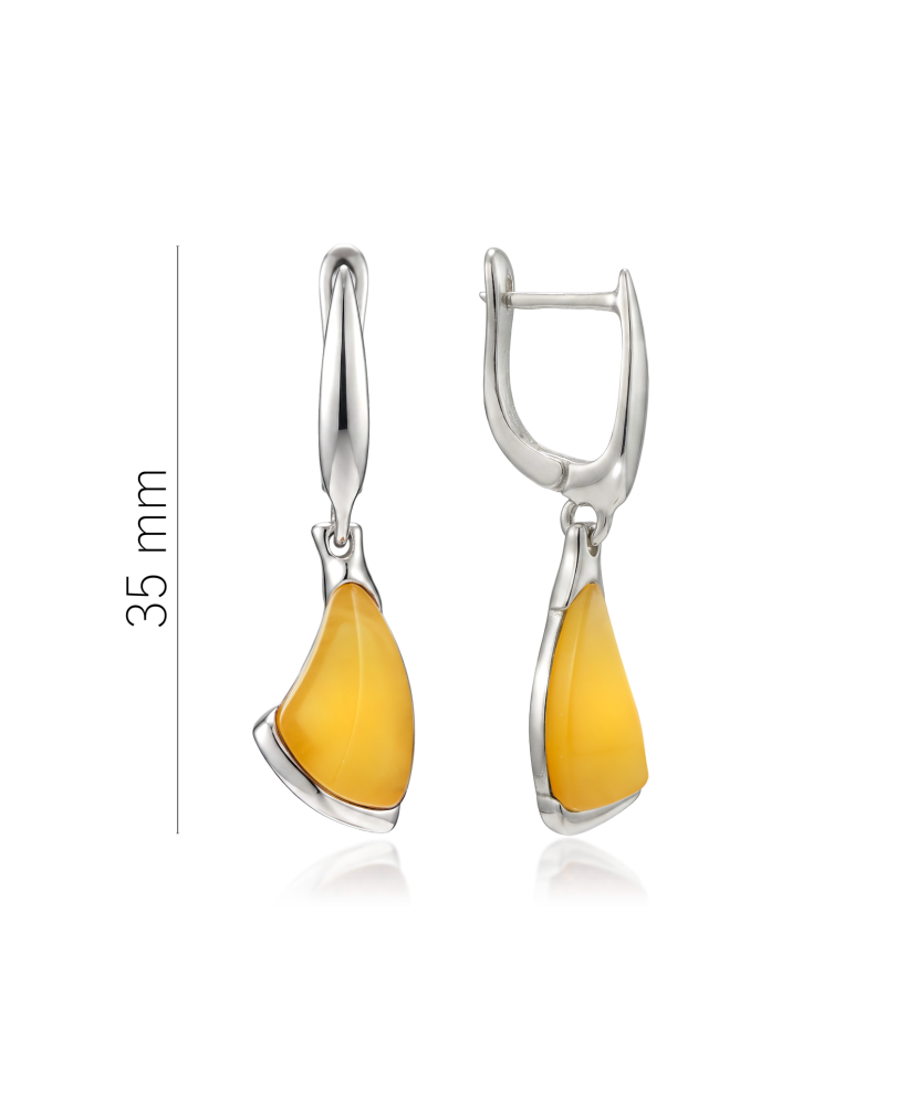 Hõbekõrvarõngad merevaiguga