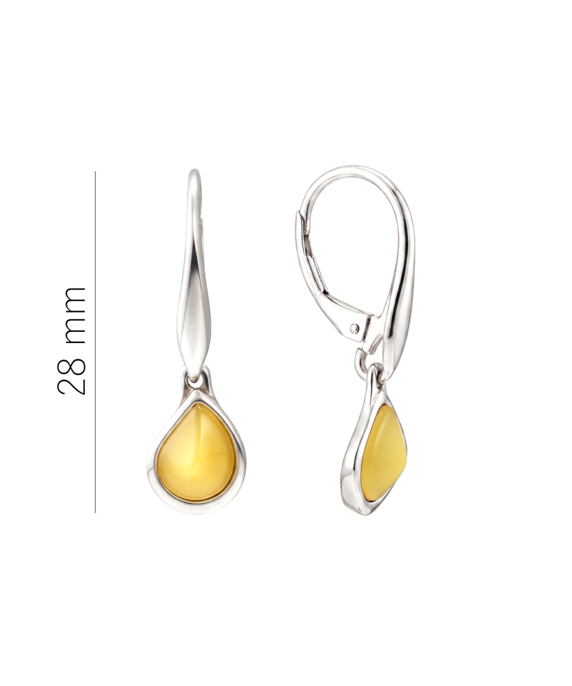 Hõbekõrvarõngad merevaiguga