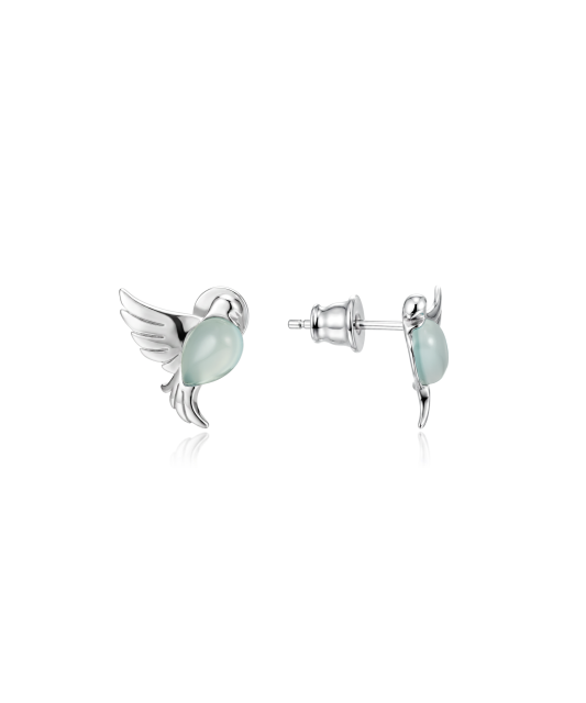 Hõbekõrvarõngad agaadi