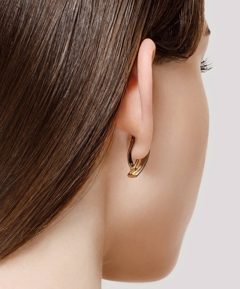 Auksiniai auskarai su cirkoniais - Auksiniai auskarai - Goldinga