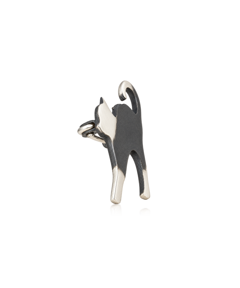 Hõbepross "kass"