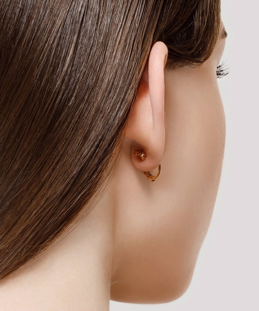 Kuldkõrvarõngad tsirkoonidega - Kuldkõrvarõngad - Goldinga