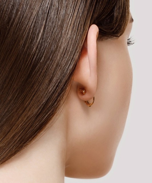 Kuldkõrvarõngad tsirkoonidega - Kuldkõrvarõngad - Goldinga