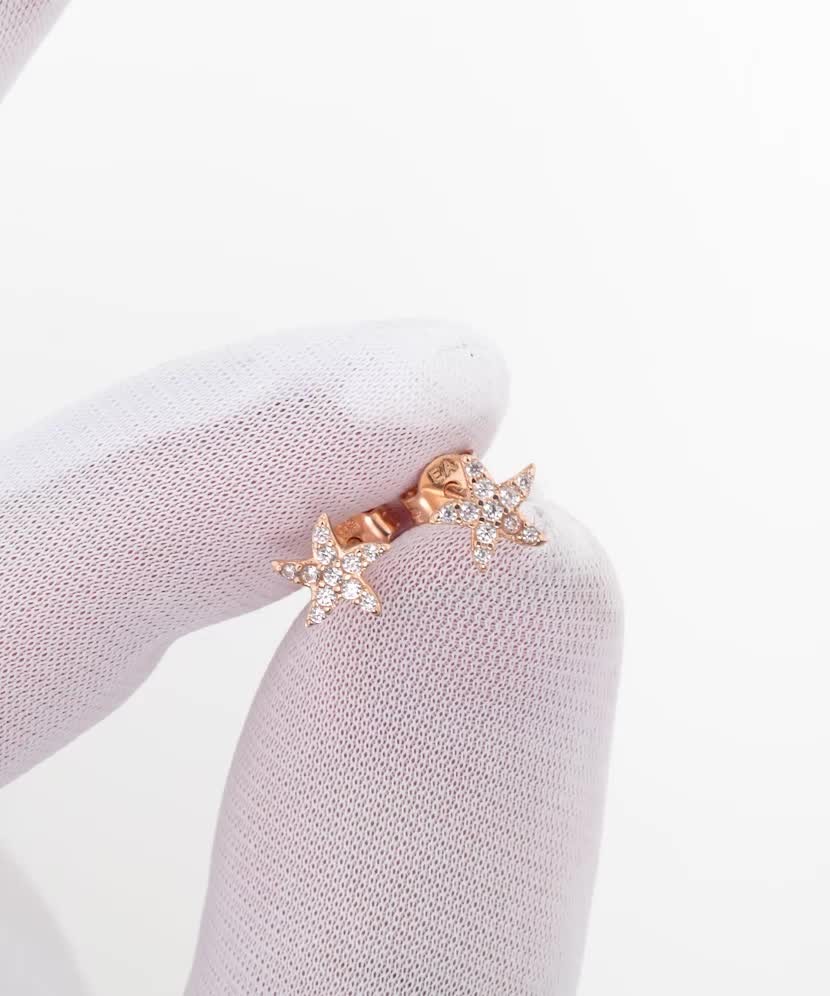 Kuldkõrvarõngad tsirkoonidega "Täheke"